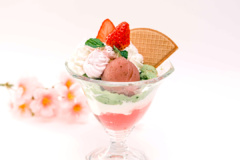 イノダコーヒ本店